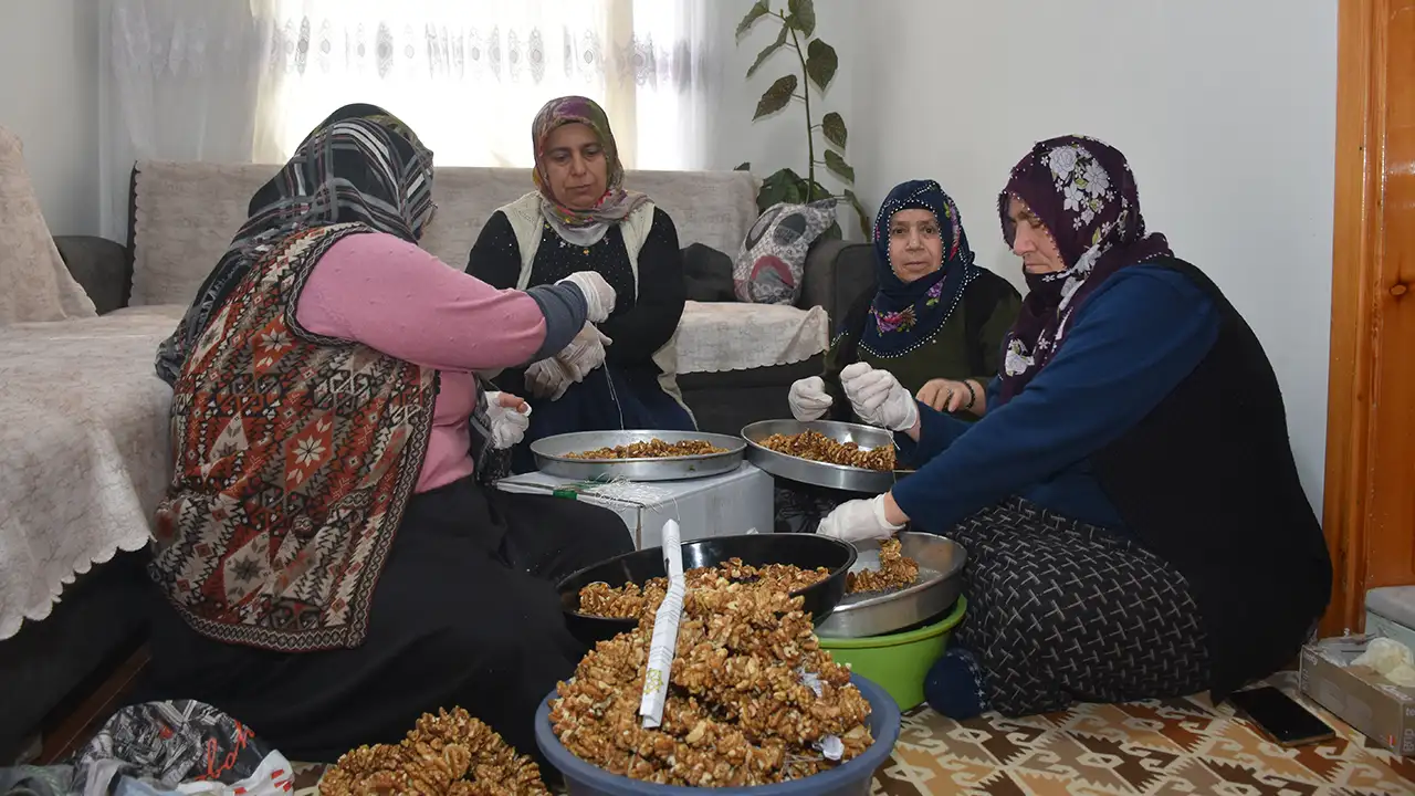 Gümüşhane’de kadınlar köme için ceviz diziyor