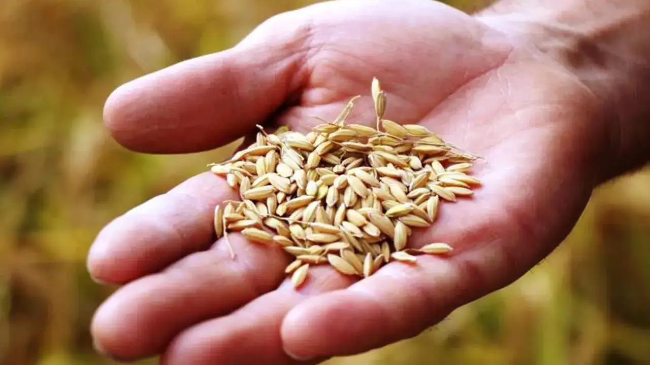 Samsunlu Üreticiye 5,9 Milyar TL’lik dev destek