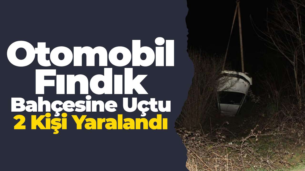 Otomobil fındık bahçesine uçtu: 2 kişi yaralandı