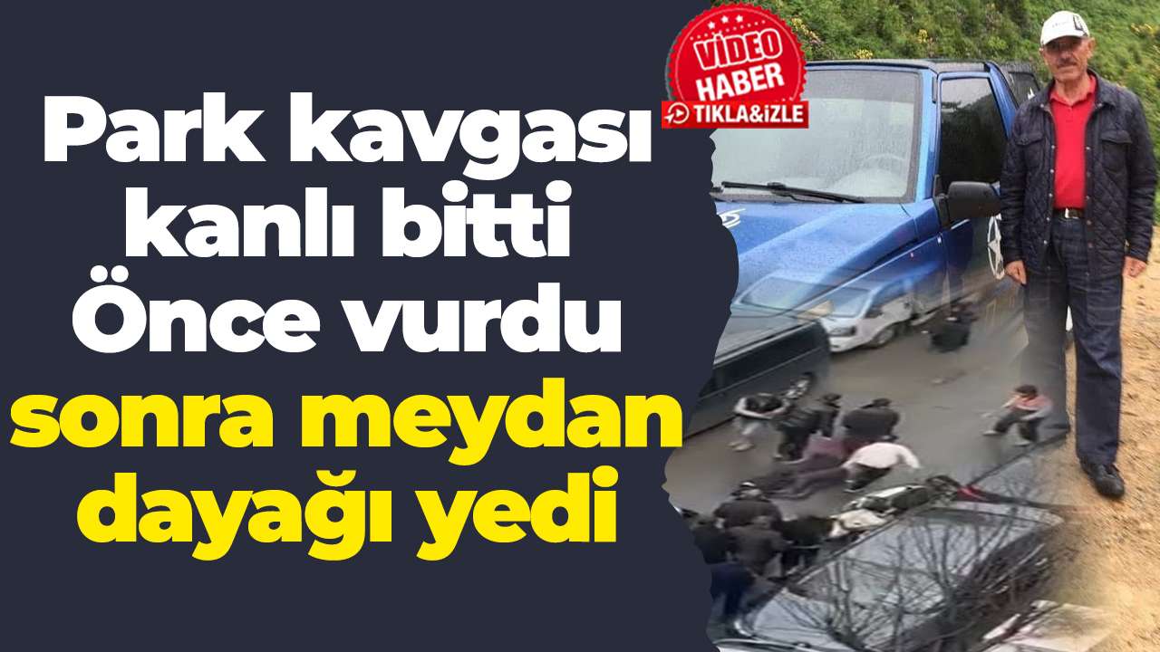 Park kavgası kanlı bitti: Önce vurdu, sonra meydan dayağı yedi
