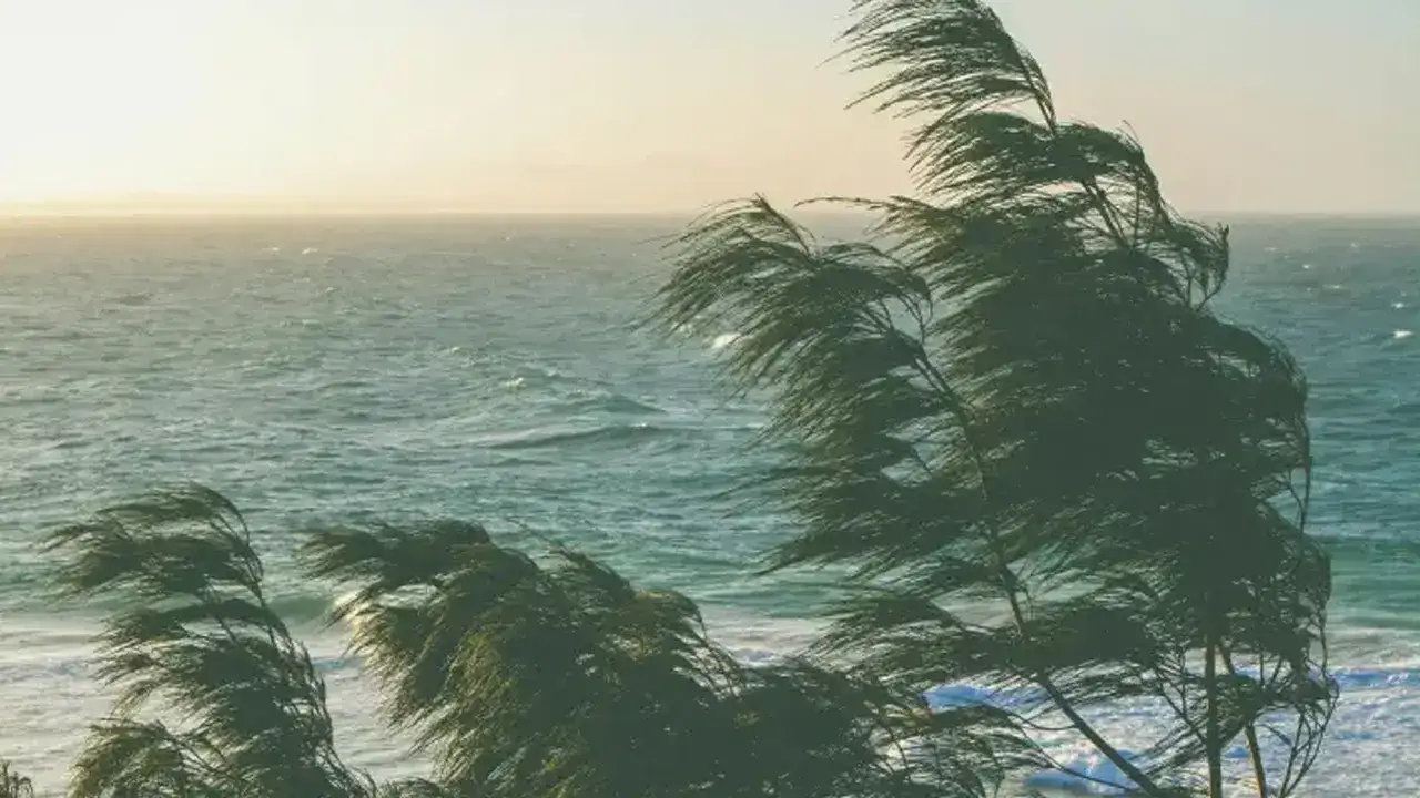 Trabzon İçin meteoroloji uyardı: Rüzgar ve yağış var