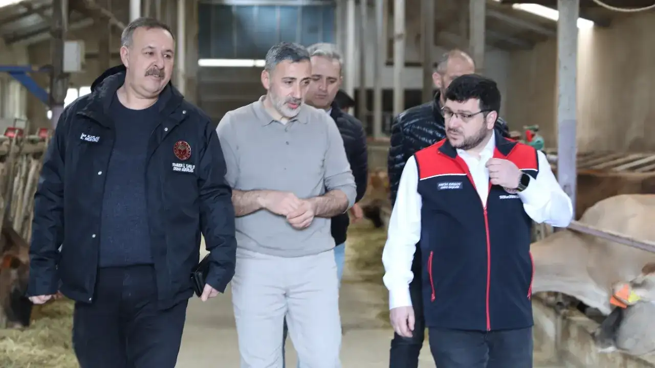 Trabzon’da ari işletmeye ziyaret: buzağı ölümleri masada
