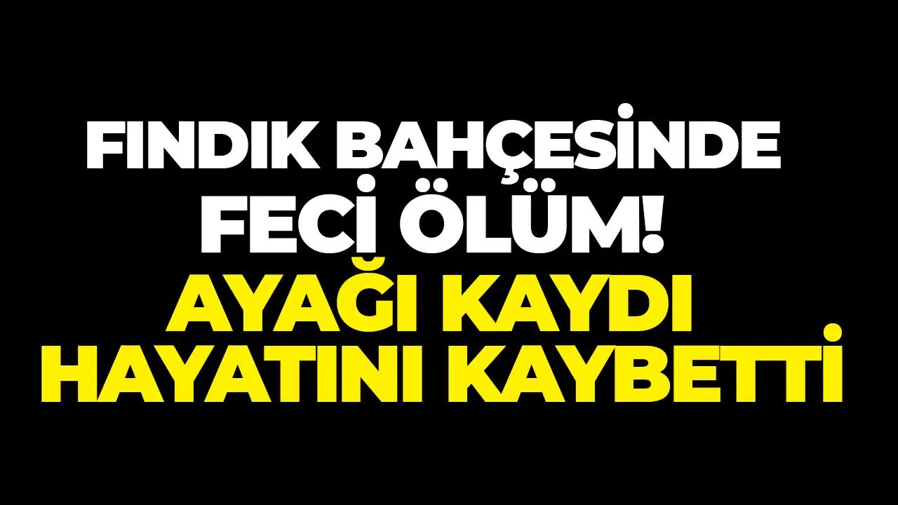 Ordu'da talihsiz kaza: Fındık bahçesinde ayağının kayması sonu oldu