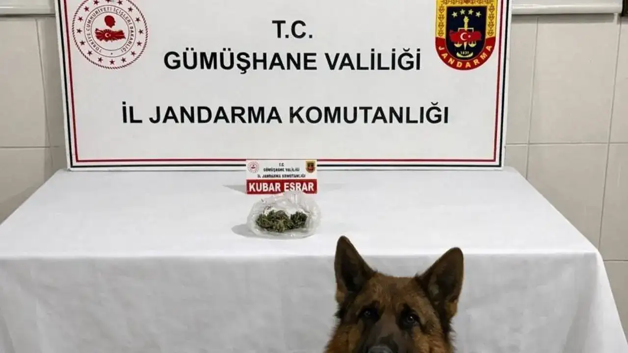 Gümüşhane’de araç aramasında kubar esrar çıktı