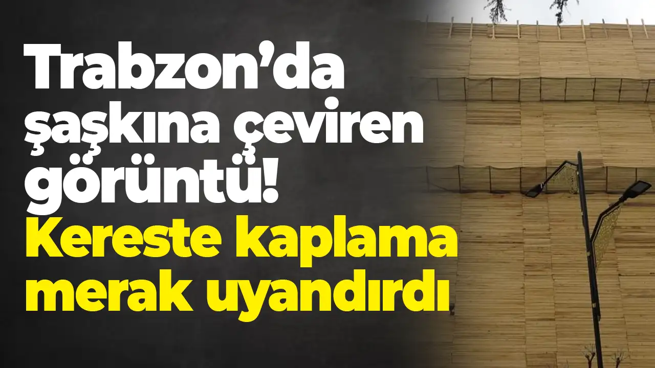 Trabzon’da şaşkına çeviren görüntü:Kereste kaplama merak uyandırdı