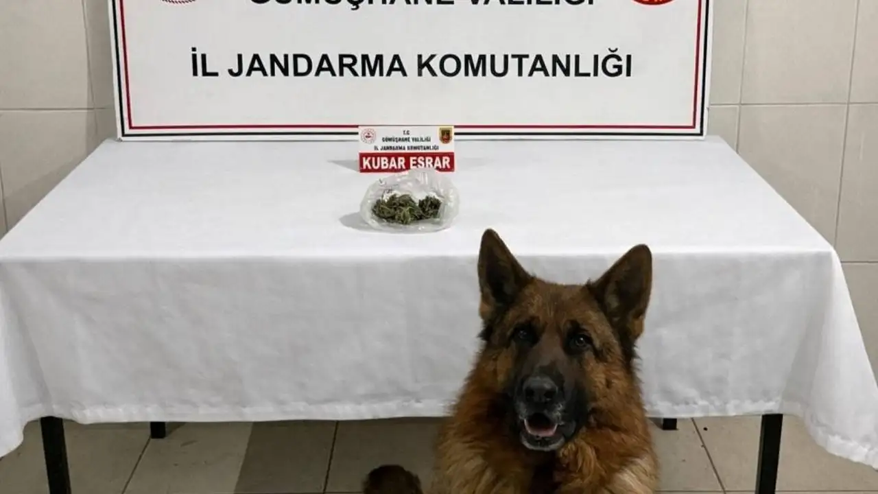 Gümüşhane’de istihbaratlı operasyon: Araçta uyuşturucu bulundu