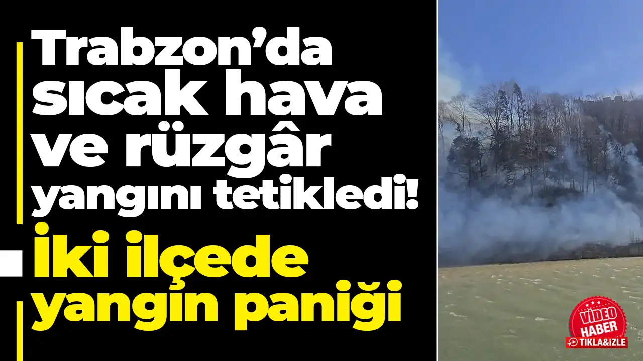 Trabzon’da sıcak hava ve rüzgâr yangını tetikledi: İki ilçede yangın paniği