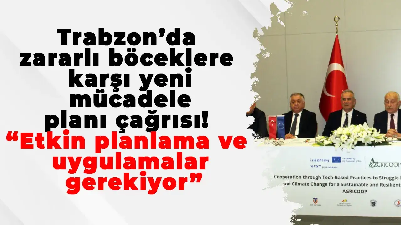 Trabzon’da zararlı böceklere karşı yeni mücadele planı çağrısı: “Etkin planlama ve uygulamalar gerekiyor”
