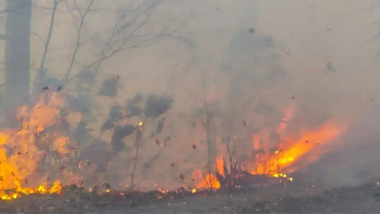 Trabzon'da bir günde 35 ayrı noktada yangın paniği