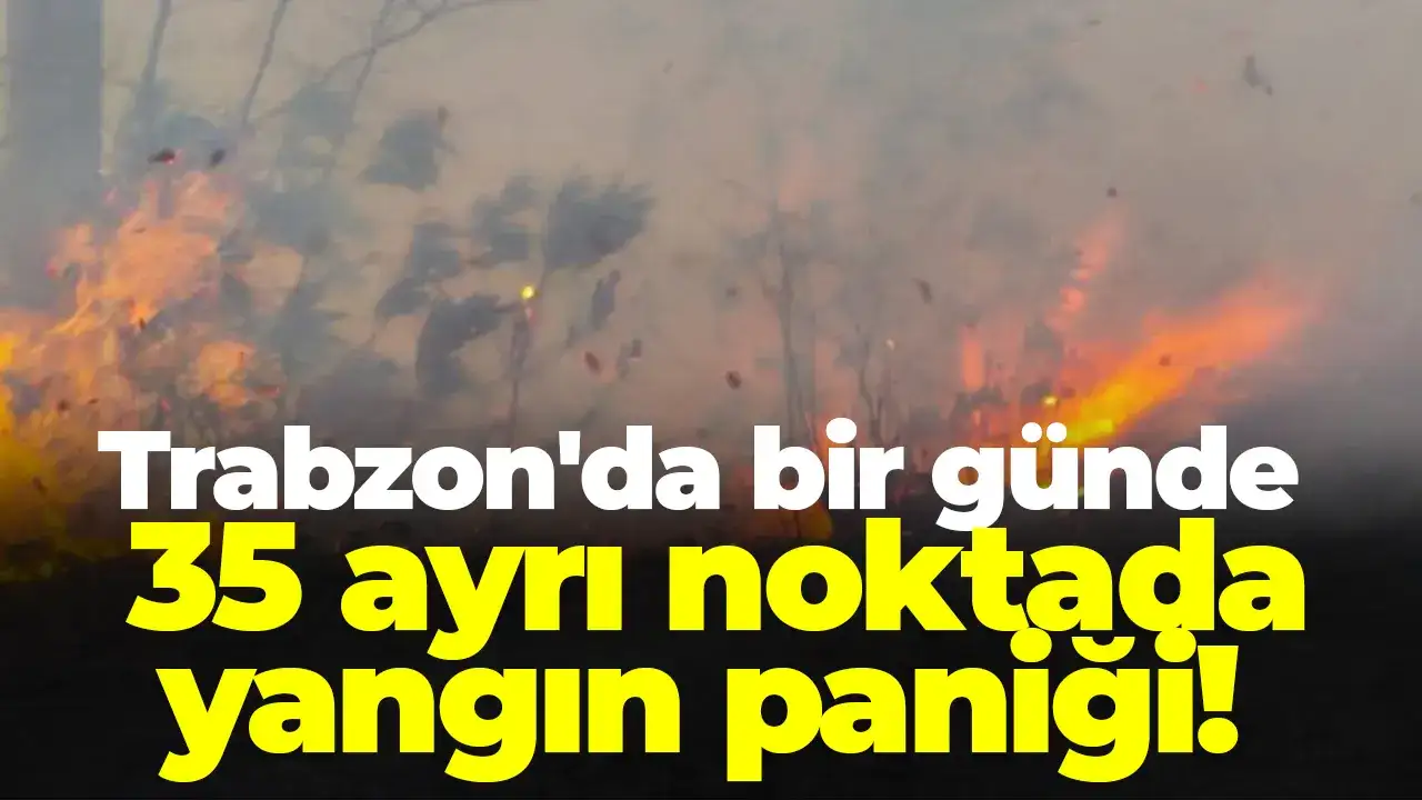 Trabzon'da bir günde 35 ayrı noktada yangın paniği