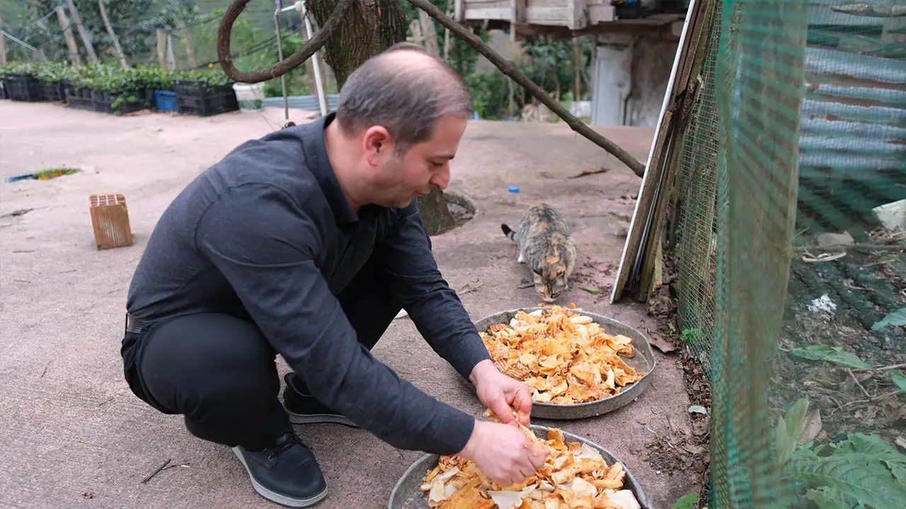 Rize’de babadan kalan gelenek: Lokantacı artan yemeklerle sokak hayvanlarını besliyor