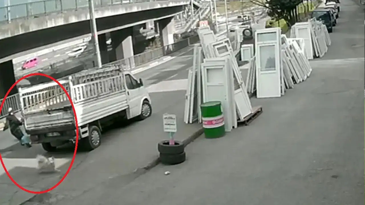 Trabzon’da köpekten kaçan üniversiteli otobüs çarpmasıyla ağır yaralandı