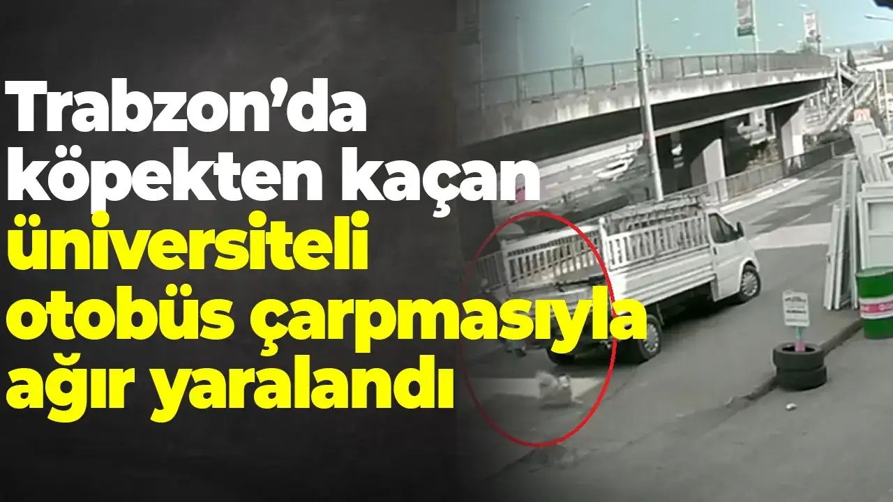 Trabzon’da köpekten kaçan üniversiteli otobüs çarpmasıyla ağır yaralandı