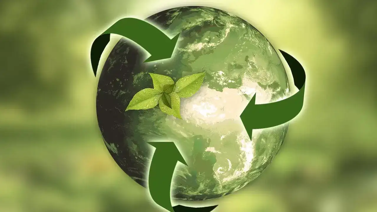 Trabzon'da sıfır atık için yeni yol haritası belirlendi: Bakanlıktan destek