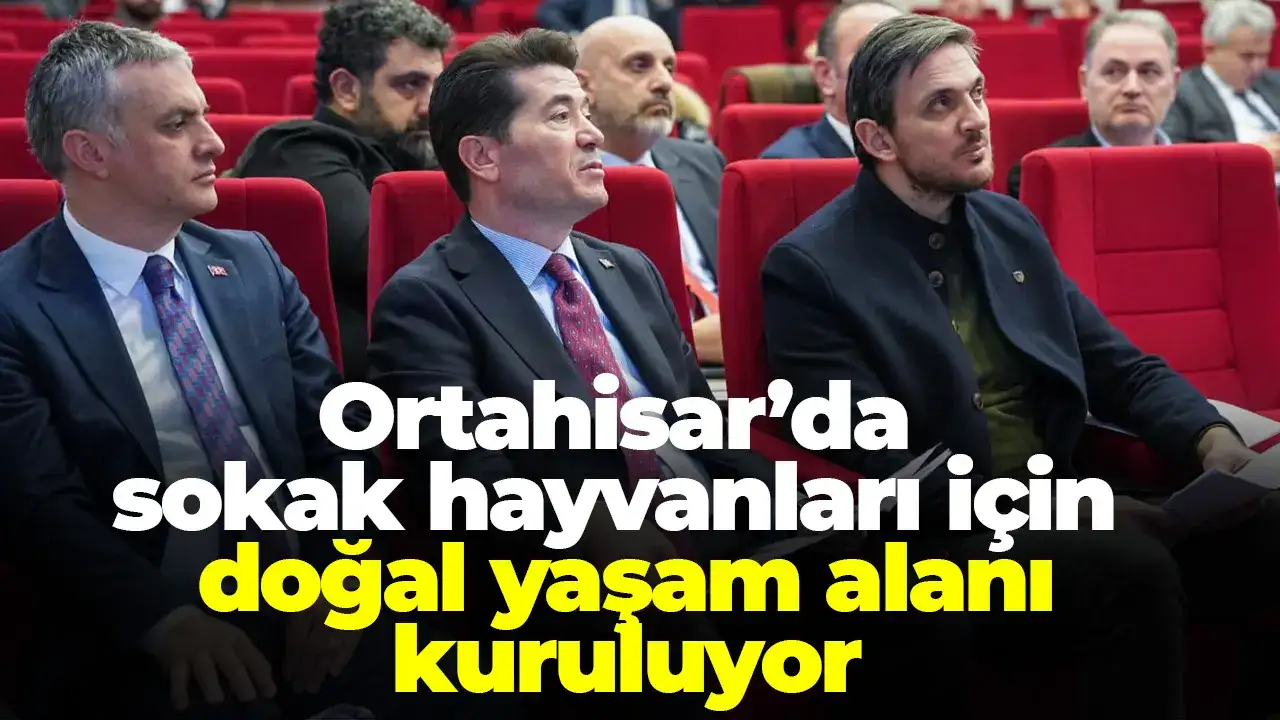 Ortahisar’da sokak hayvanları için doğal yaşam alanı kuruluyor