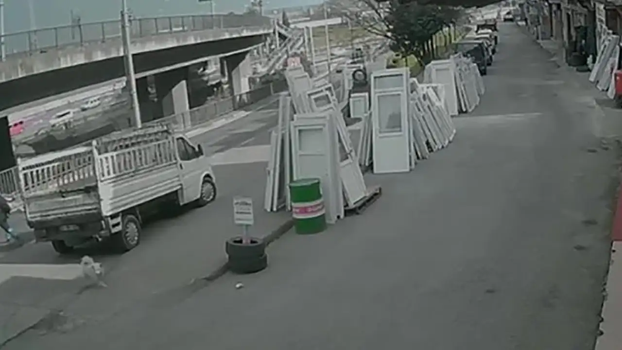 Türkiye'nin konuştuğu Trabzon'daki kazada başıboş köpek konusu yeniden gündeme geldi: Kritik 72 saat