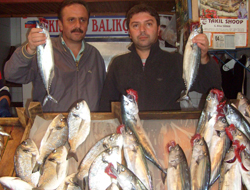 Balıkçılar umutlu başladı...