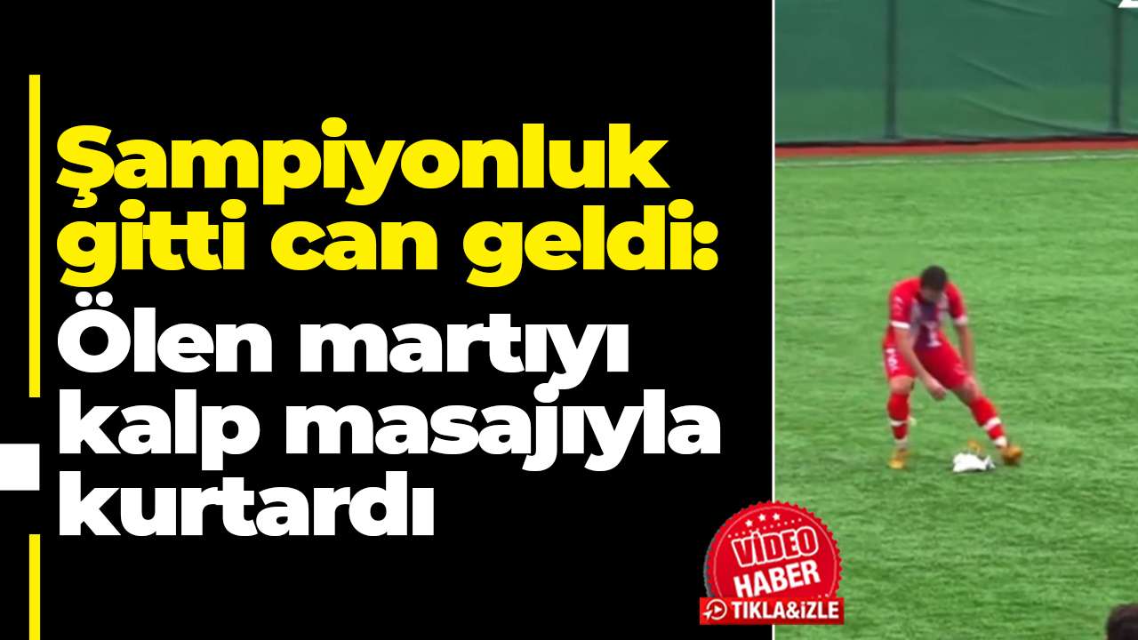 Şampiyonluk gitti can geldi:  Ölen martıyı kalp masajıyla kurtardı