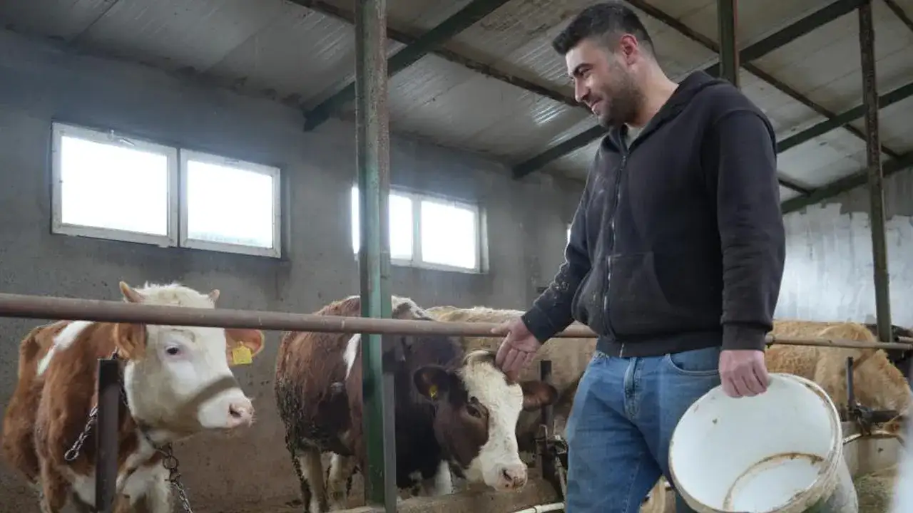 Bayburt’ta yem desteği üreticiye nefes aldırdı