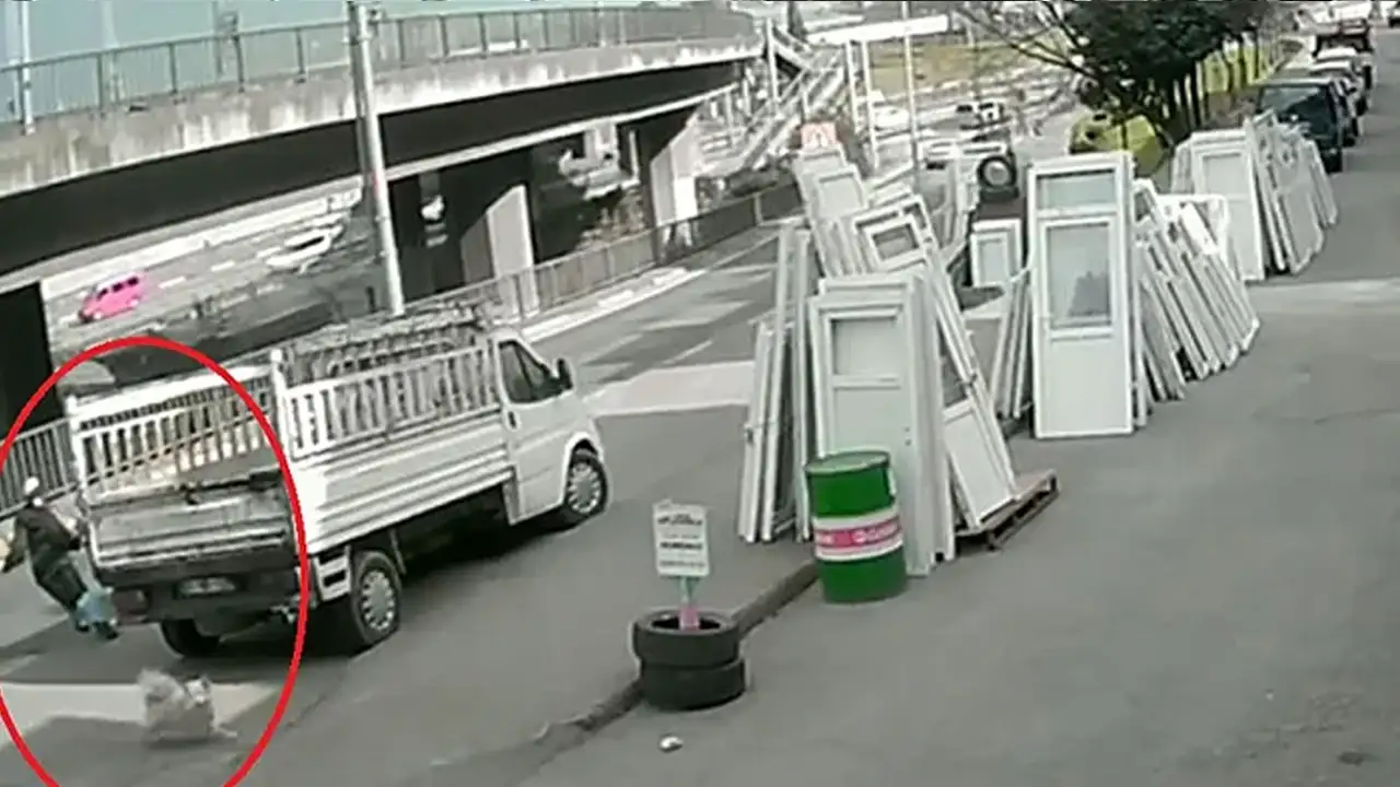 Trabzon'da sahipsiz köpekten kaçarken otobüs çarpmıştı: Sağlık durumuyla ilgili yeni gelişme