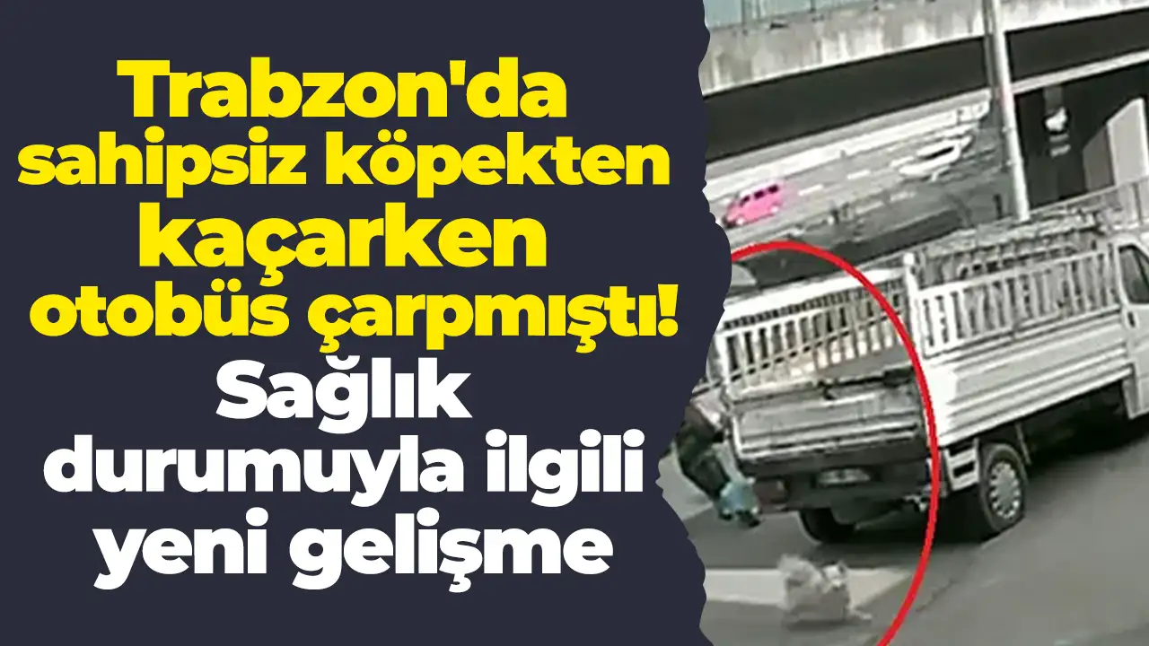 Trabzon'da sahipsiz köpekten kaçarken otobüs çarpmıştı: Sağlık durumuyla ilgili yeni gelişme