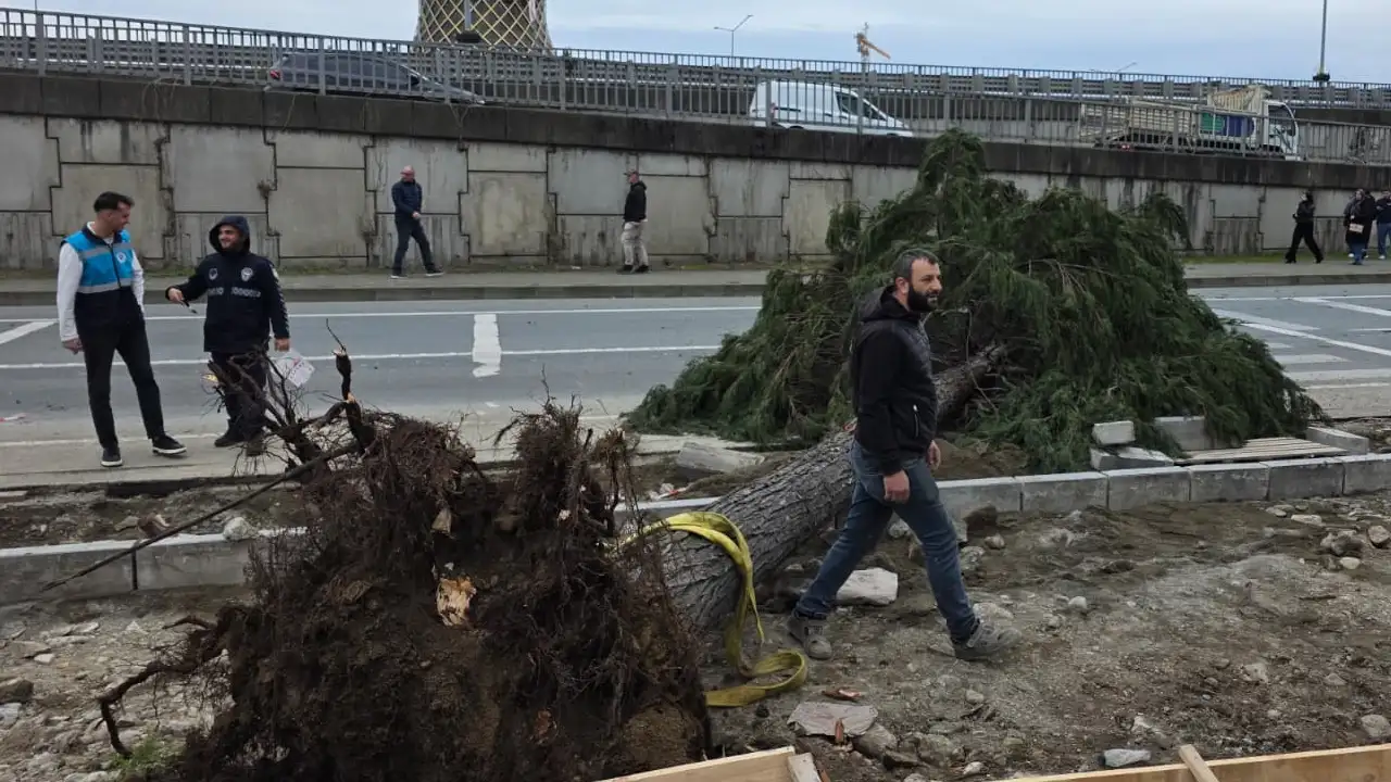 Rize’de fırtına ağaçları devirdi, cadde kapandı