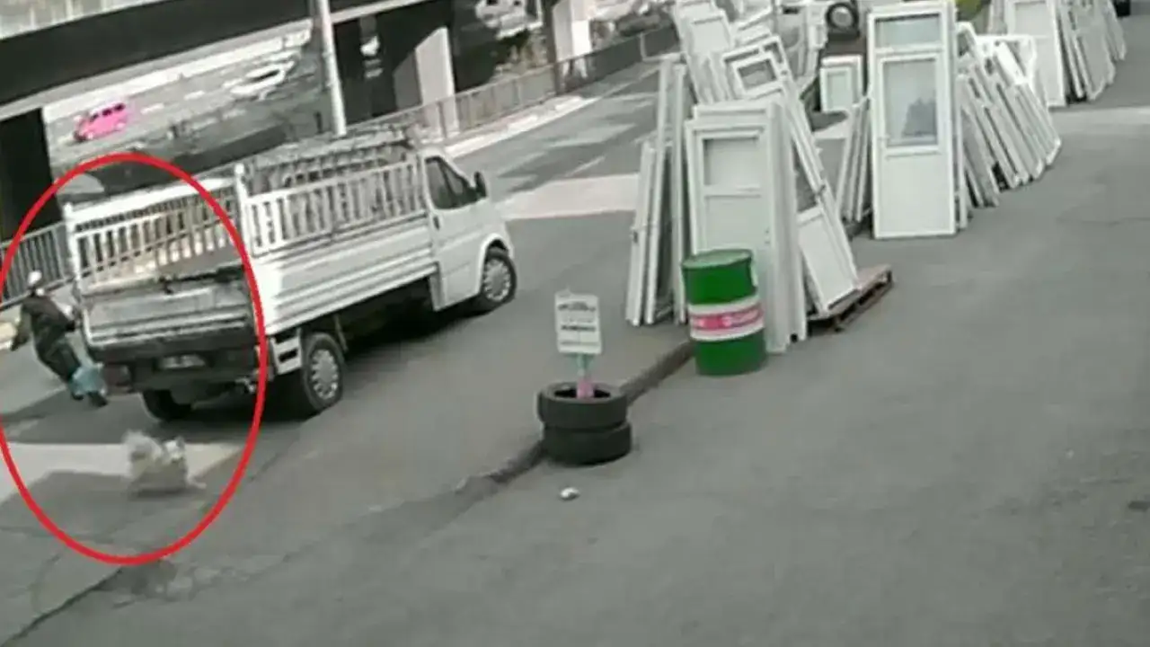 Trabzon'da başkanların ziyareti tartışma konusu oldu