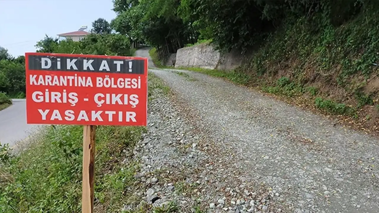 Trabzon’da şap alarmı: O ilçede 10 kilometrelik yarıçaplı alanda karantina kararı