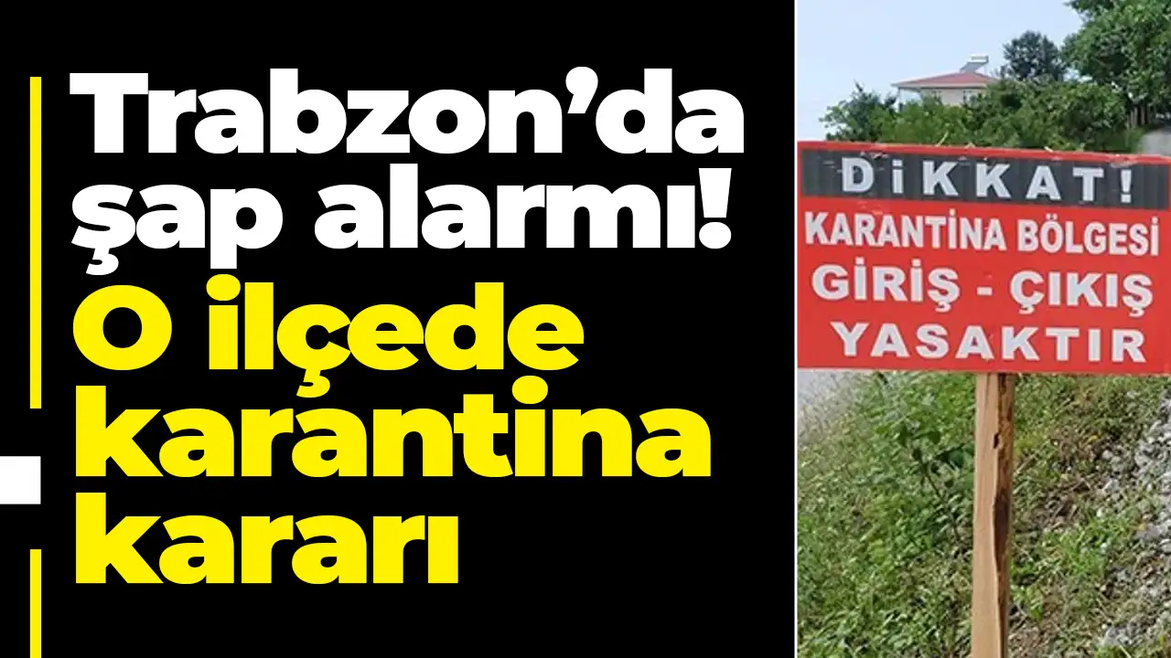 Trabzon’da şap alarmı: O ilçede 10 kilometrelik yarıçaplı alanda karantina kararı