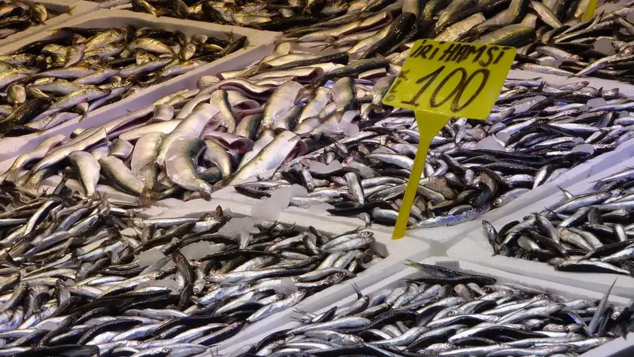 Trabzon’da balık tezgahlarına sürpriz: Sezon uzadı