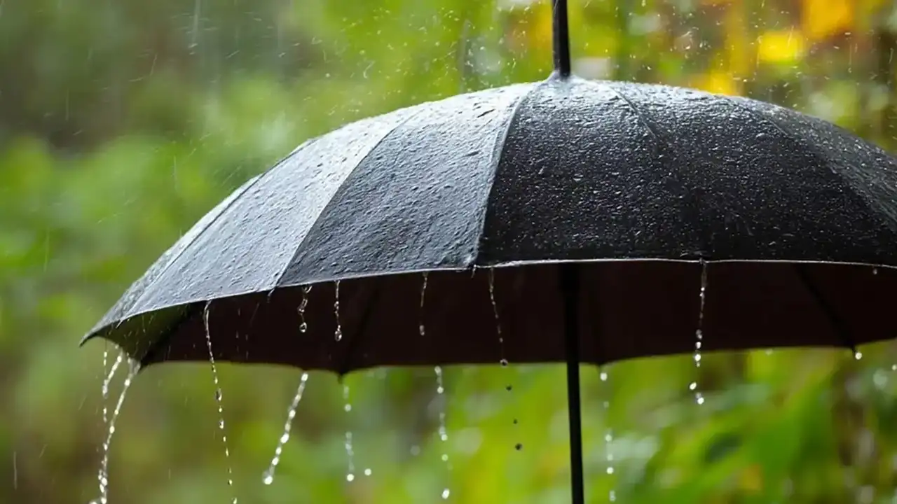 Meteoroloji Trabzon’u uyardı: Kar, yağmur ve fırtına kapıda