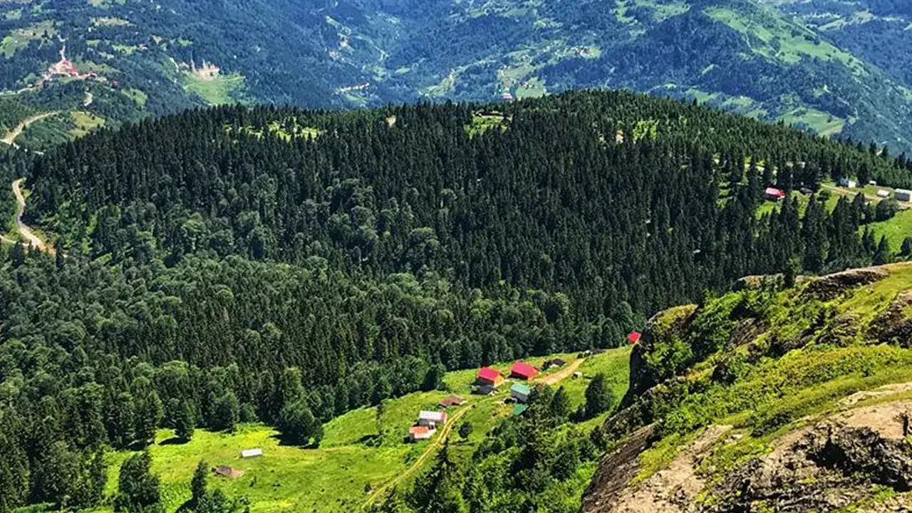 Trabzon’da bazı alanlar orman sınırı dışına çıkarıldı: Resmi Gazete’de yayımlandı