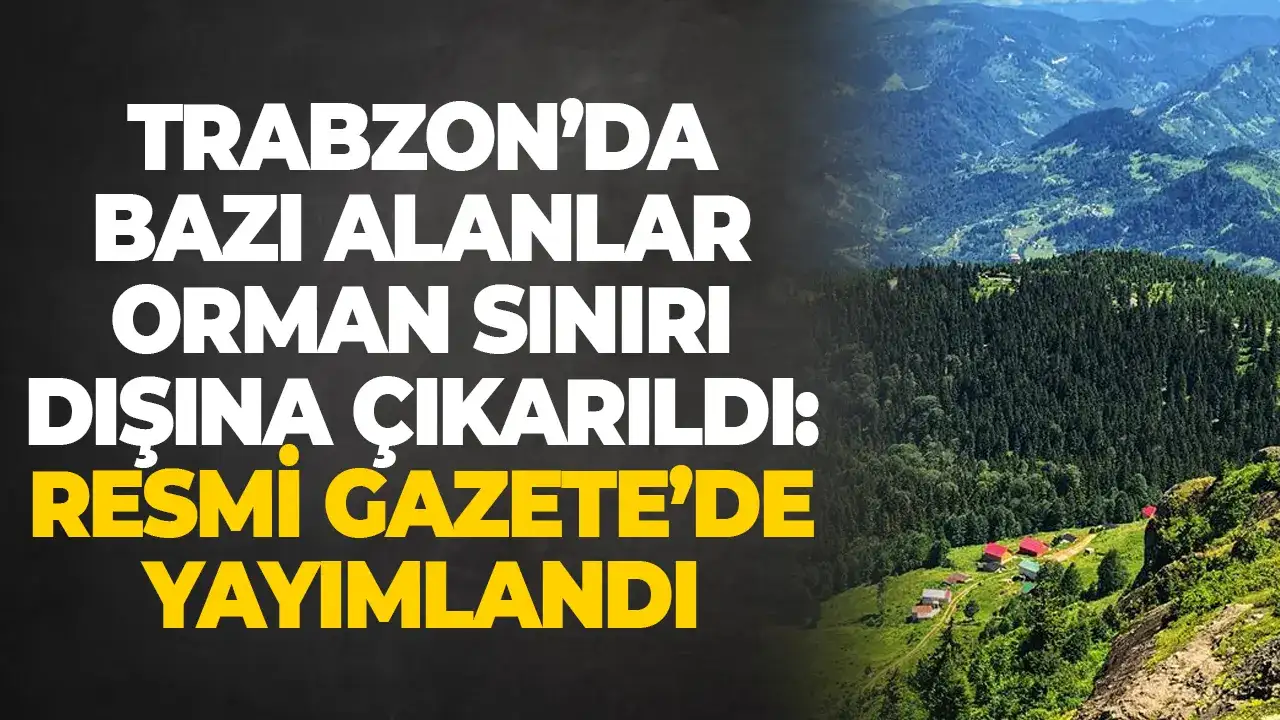 Trabzon’da bazı alanlar orman sınırı dışına çıkarıldı: Resmi Gazete’de yayımlandı