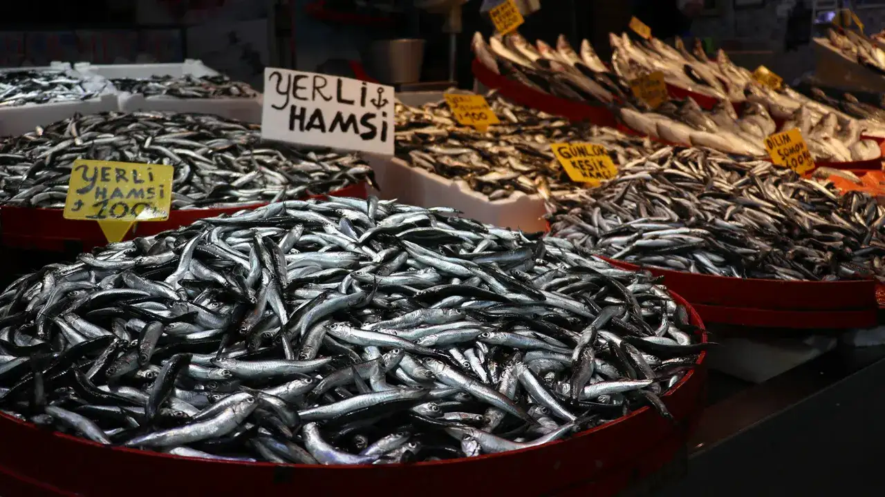 Trabzon’da tezgâhlar şenlendi: İşte güncel balık fiyatları