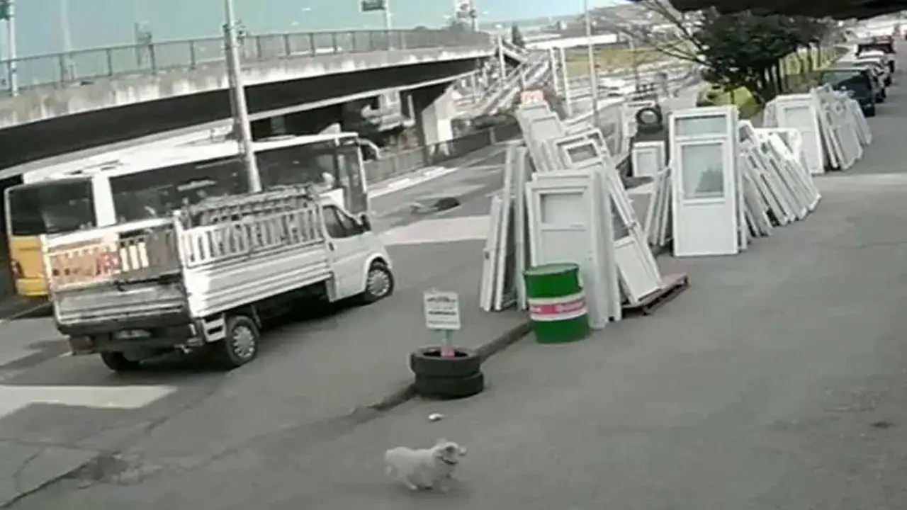 Başkan Kaya köpeğin saldırısına uğrayan kıza ziyaretini anlattı: "Otobüs şoförüne kızmayın"