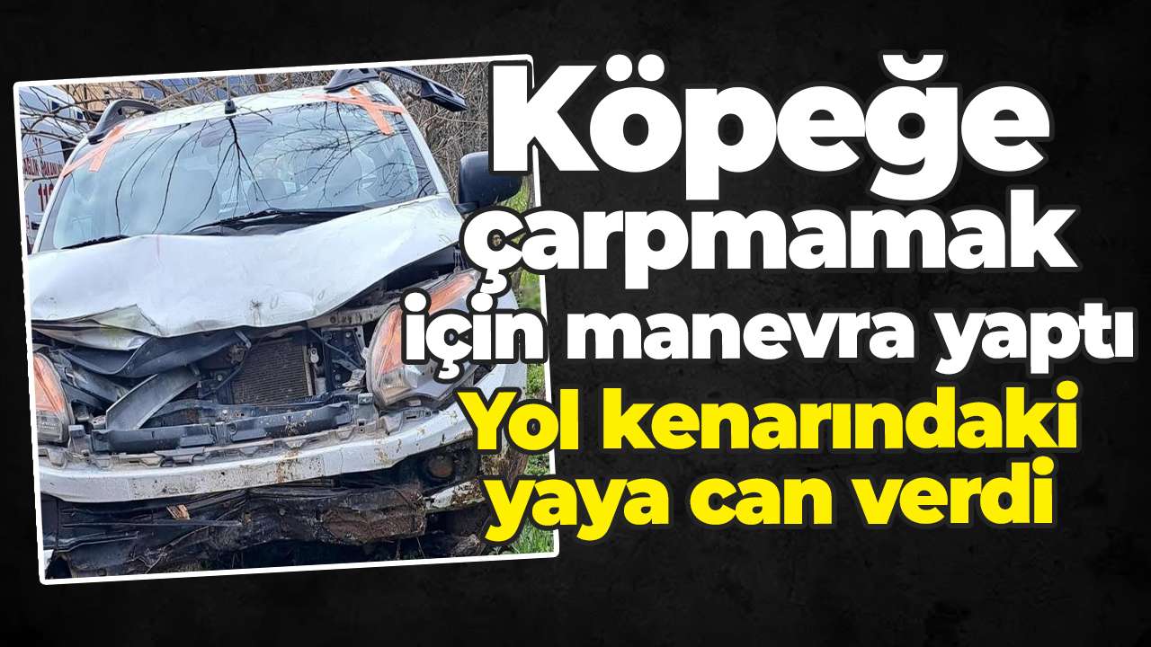 Köpeğe çarpmamak için manevra yaptı: Yol kenarındaki yaya can verdi