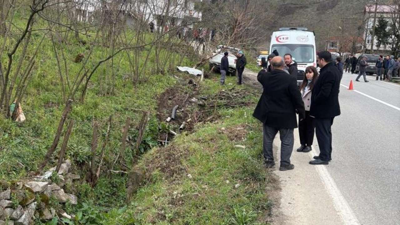 Köpeğe çarpmamak için manevra yaptı: Yol kenarındaki yaya can verdi