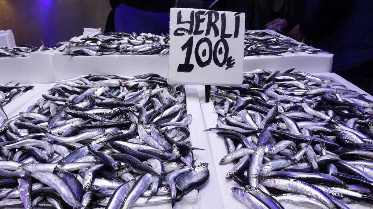 Trabzon’da hamsi ve istavrit bolluğu! Ramazanda tezgâhların gözdesi