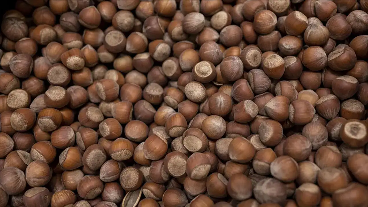 Trabzon’dan ne kadar fındık ihracatı yapıldı? Resmi açıklama geldi