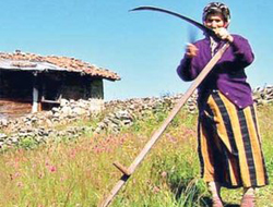 Karadeniz kadınına süper ödül!