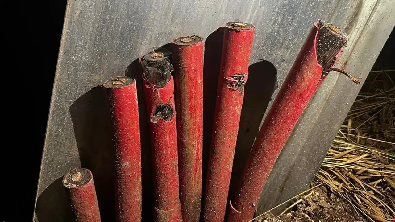 Artvin’de 1 milyonluk kablo hırsızlığı! Vinç kiralayıp direklerden kestiler