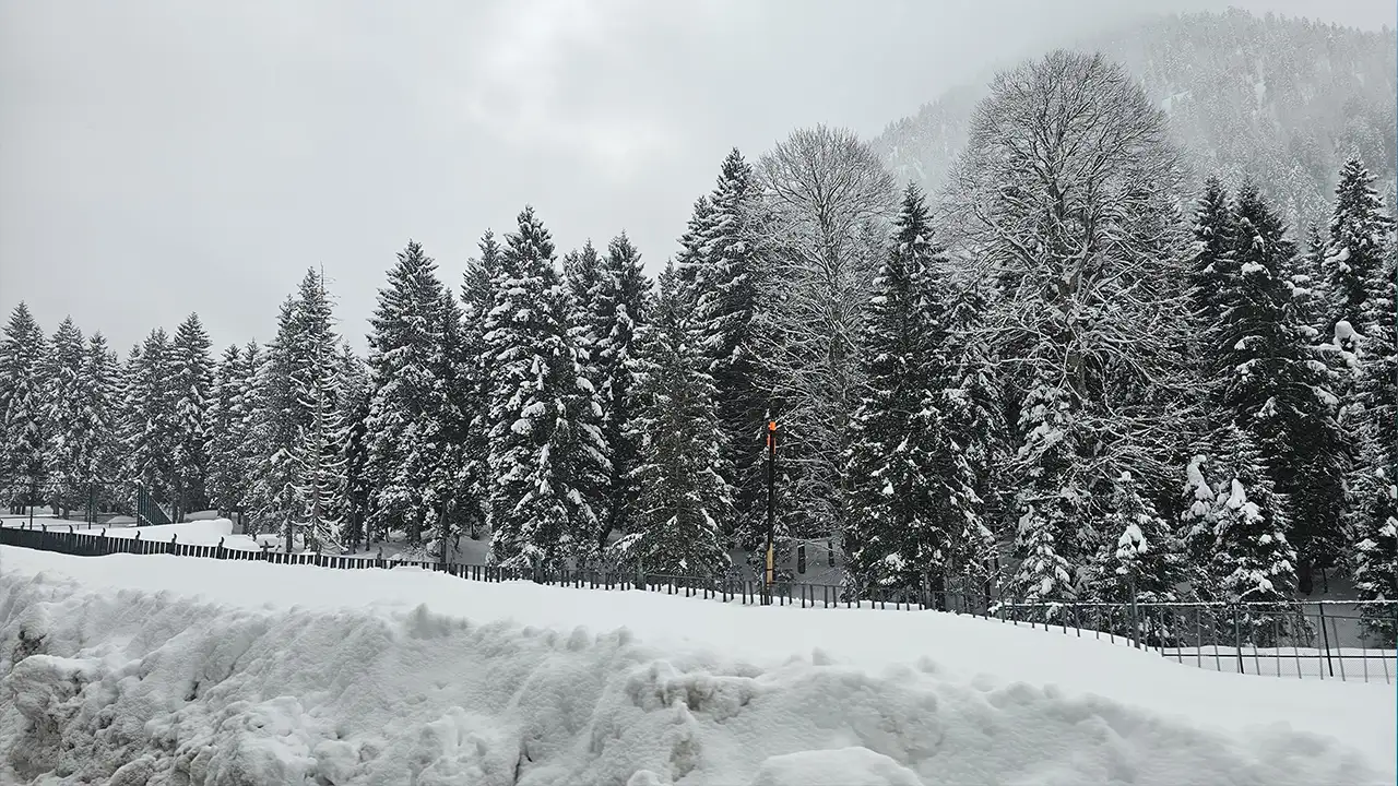 Rize ve Ordu’da kar etkisini gösterdi: Ayder Yaylası’nda kar 60 santimetreye ulaştı