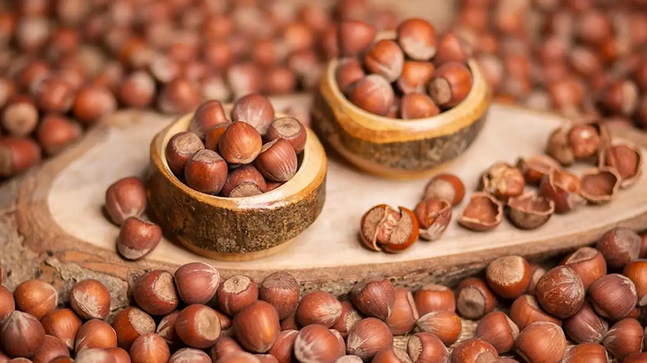 Fındık ihracatında 2026’nın ilk verileri açıklandı: Milyon dolarlık gelir