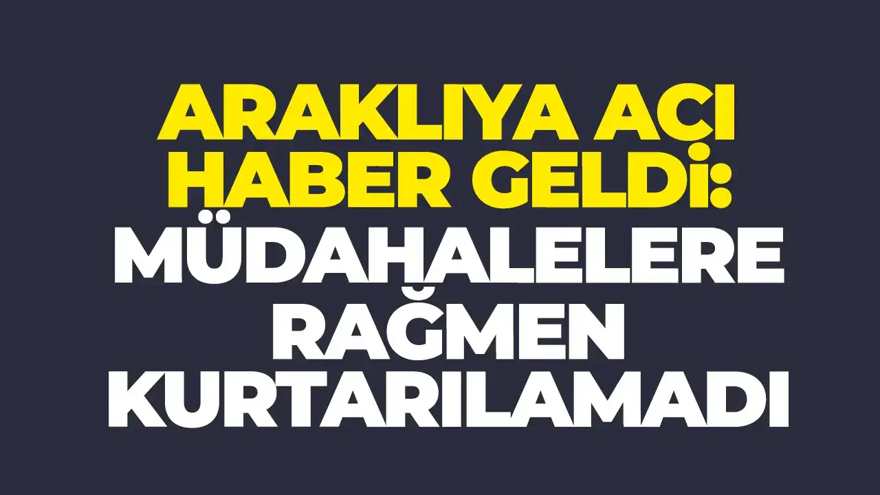 Araklıya acı haber geldi: Müdahalelere rağmen kurtarılamadı