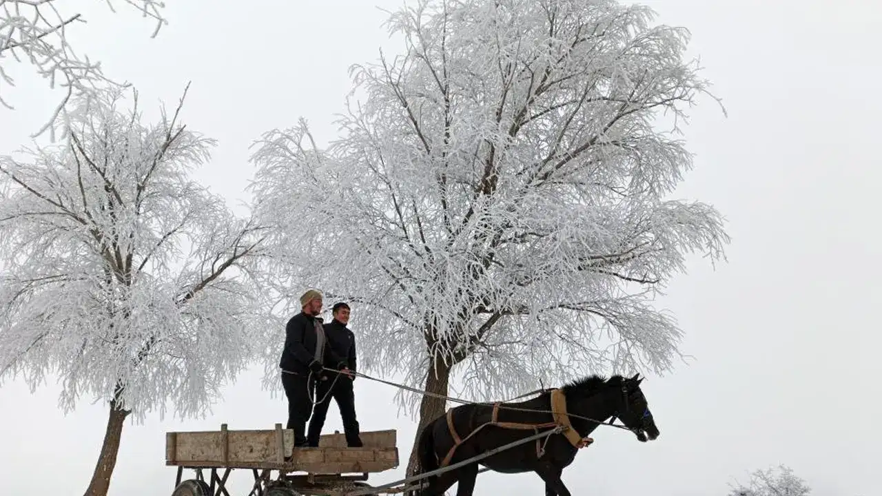 Türkiye’nin en soğuk noktası Bayburt oldu: Sıcaklık eksi 20,1 derece
