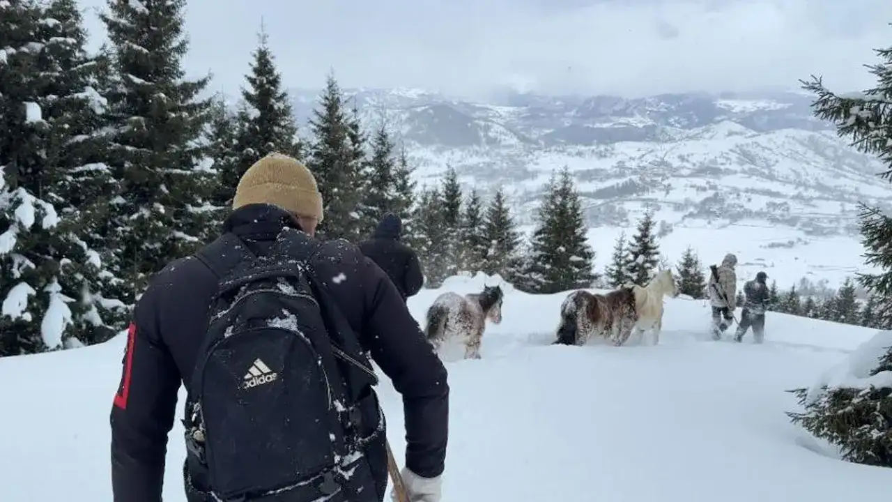 Artvin’de gençlerden örnek kurtarma: 3 aydır kayıp olan atları kurtardılar