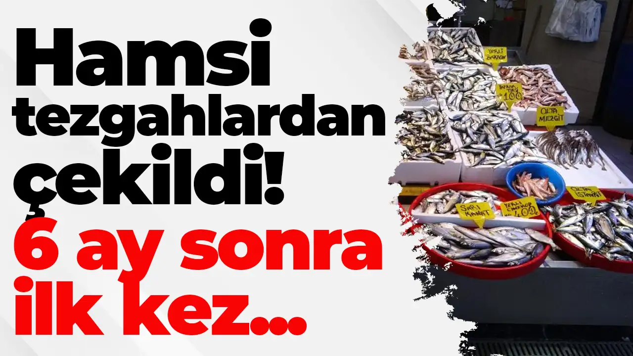 Trabzon’da hamsi tezgahlardan çekildi: 6 ay sonra ilk kez...