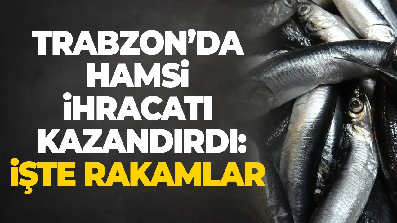 Trabzon’da hamsi ihracatı kazandırdı: İşte rakamlar