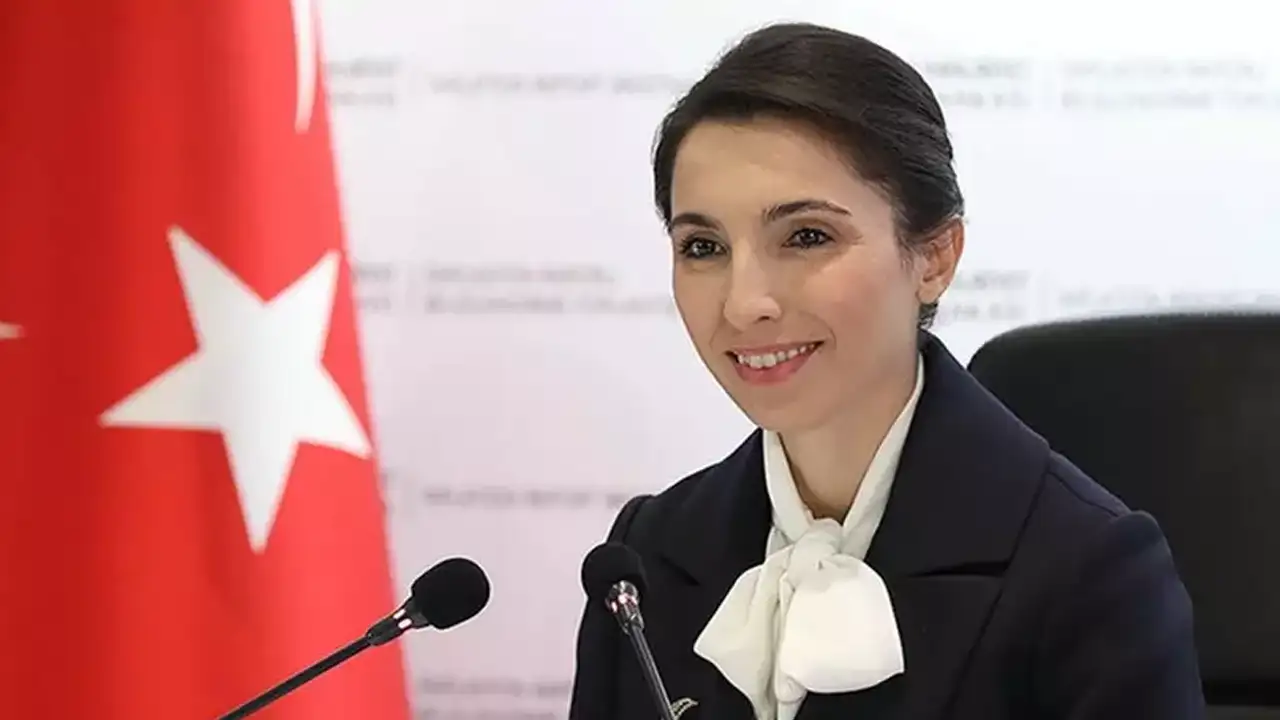 Hafize Gaye Erkan kimdir, yeni görevi ne? TCMB eski başkanı kaç yaşında, nereli?