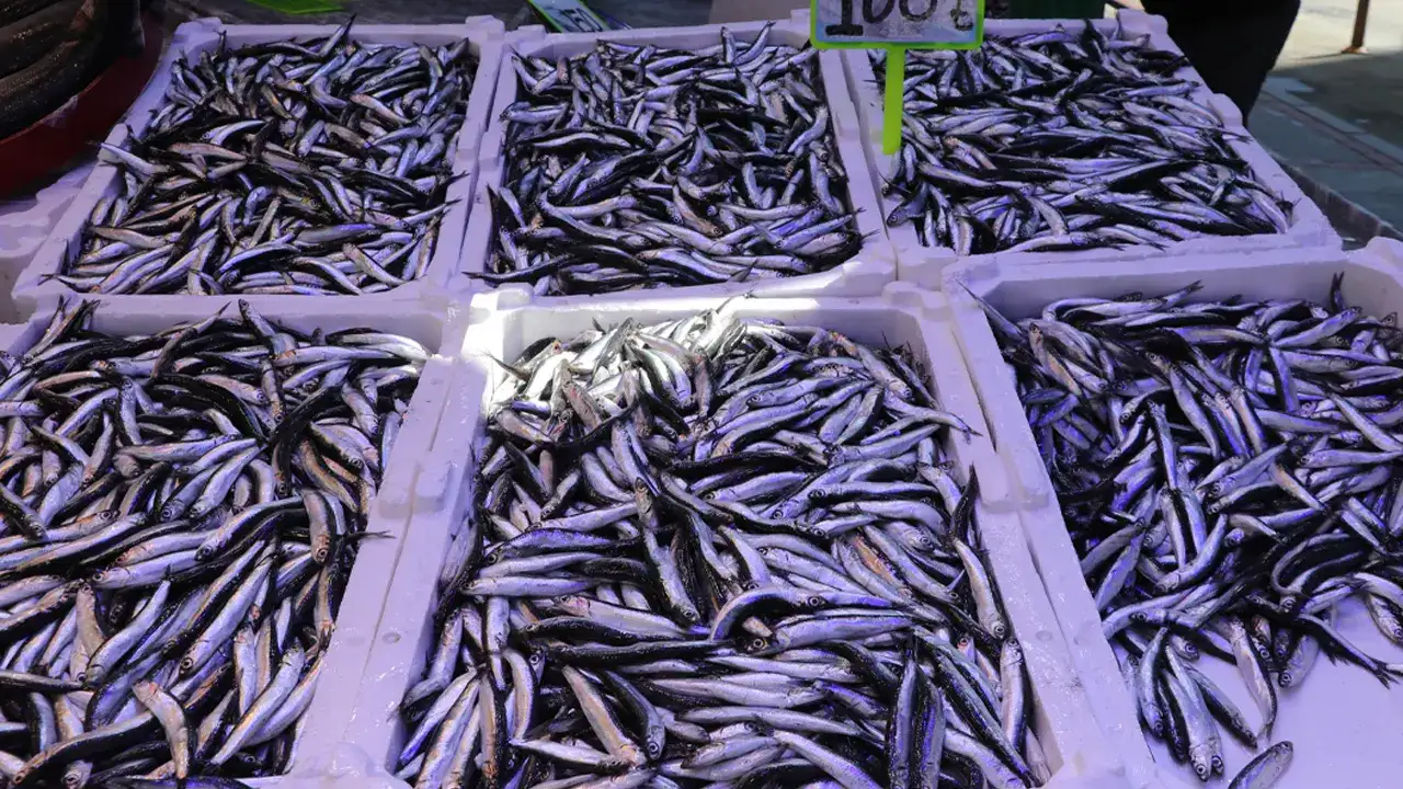 Rize’de tezgahların yıldızı hamsi! Vatandaş ilk onu soruyor